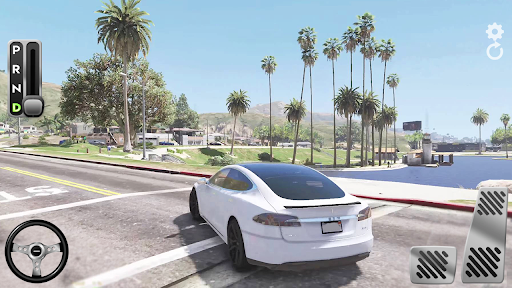 Model S模拟器游戏官方版截图2: