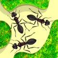 蚂蚁农场游戏官方安卓版 v1.6.9