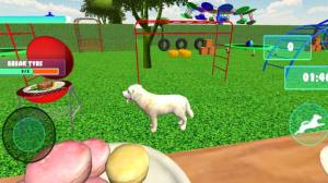 虚拟小狗宠物狗护理3d游戏图3