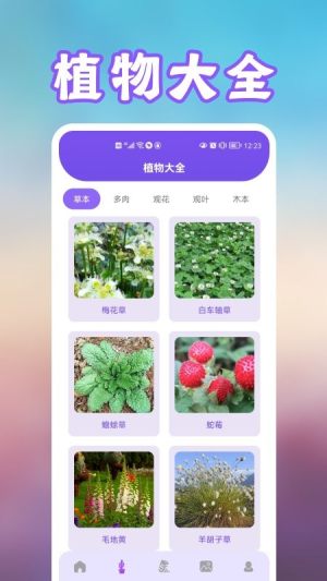 养花草录app图1