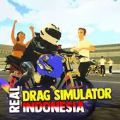 印尼真实阻力模拟器手机版中文游戏
