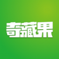 奇藏果数藏平台app官方版