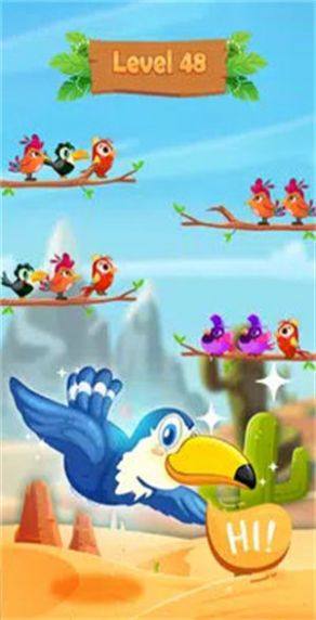 鸟类分类拼图游戏安卓版图片1