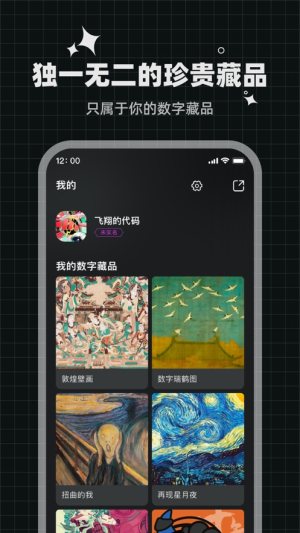 灵龙数字藏品app图3