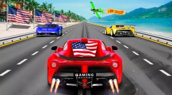公路赛车pro游戏官方版（Highway Racer Pro）图片1