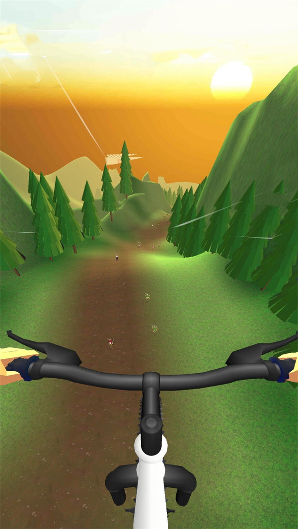 真实自行车驾驶游戏安卓版截图4:
