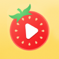 鹿玩番茄短视频app