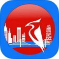 城市啄木鸟app