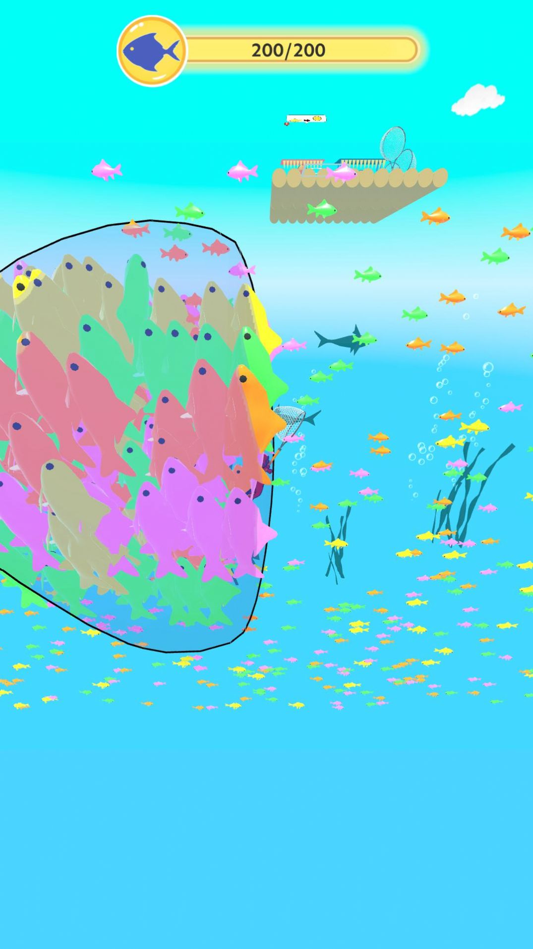 网鱼的人游戏安卓版图2: