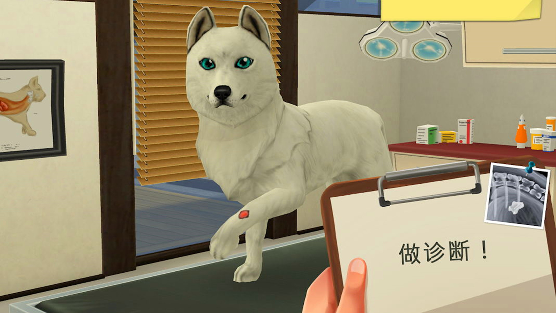 宠物救助模拟器游戏安卓版图片1