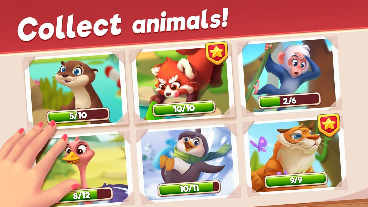 动物园比赛游戏官方安卓版截图4: