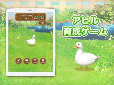 鸭子培养游戏官方版（Duck）2