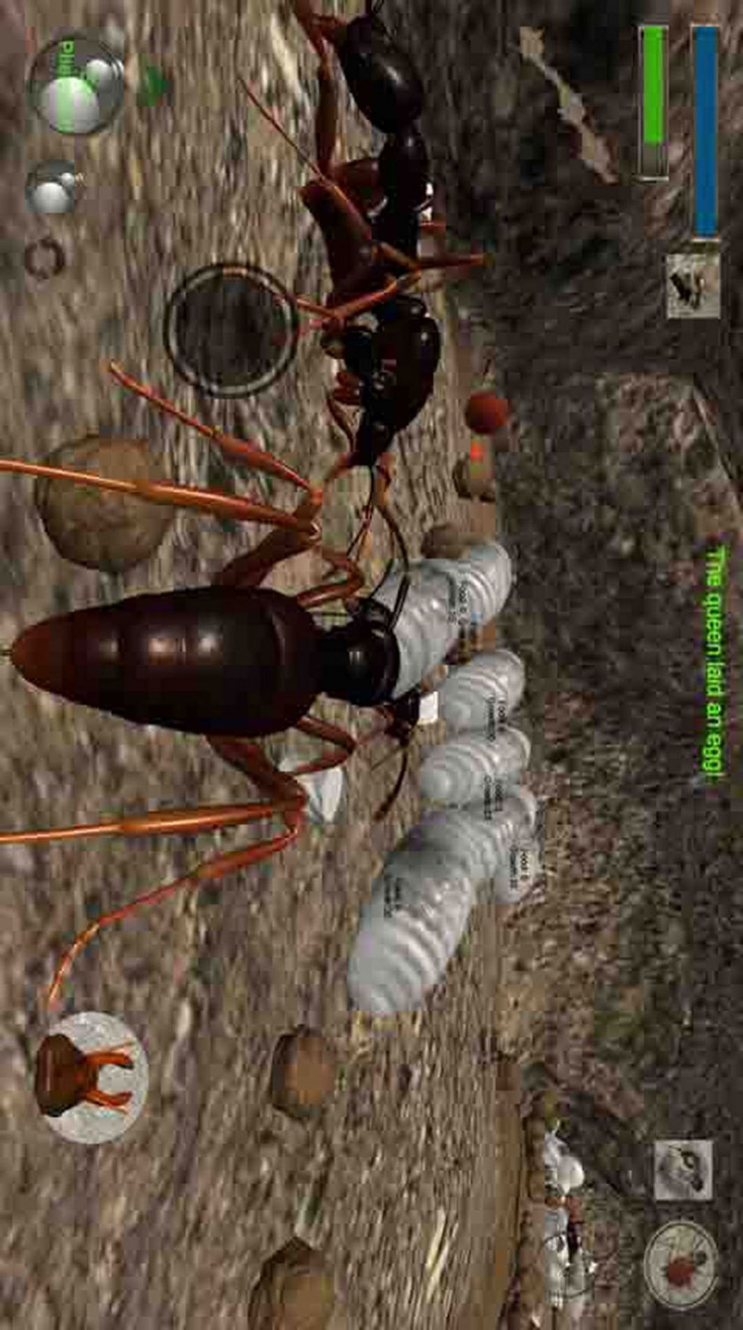 蚂蚁求生模拟器游戏安卓手机版截图4:
