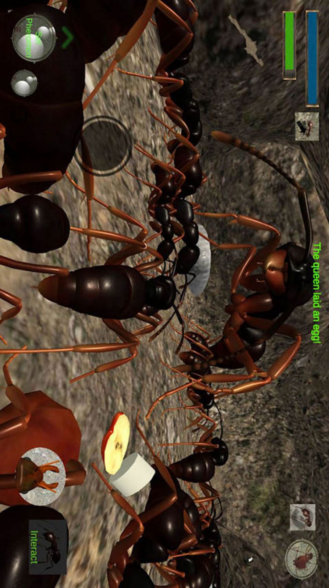 蚂蚁求生模拟器游戏安卓手机版截图5: