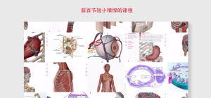 解剖和生理学2022最新版图1
