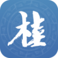广西政务数字一体化平台app