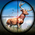Subway Deer Hunter游戏