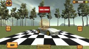 赛车冲刺汽车模拟器游戏图2