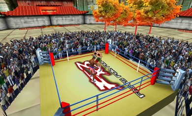 3D拳击对战游戏中文手机版图片1