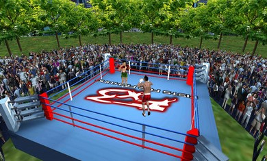 3D拳击对战游戏中文手机版图2: