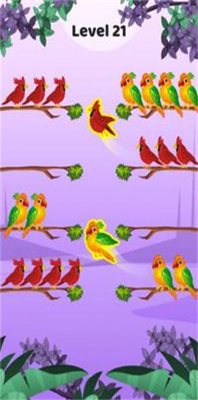 鸟类颜色排序游戏官方版图2: