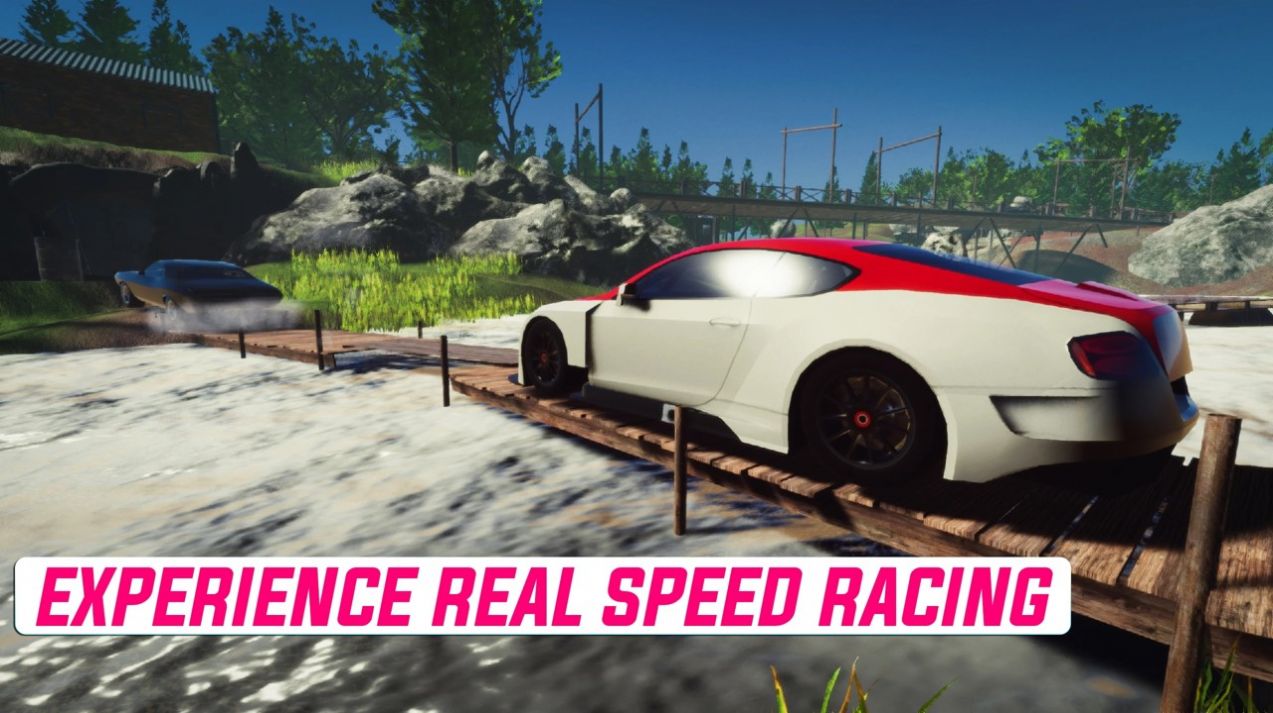 真正的速度赛车游戏安卓版（RealSpeedCarRacing）图1: