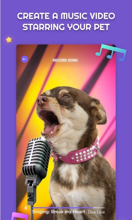 PetStar宠物唱歌APP官方版图1: