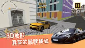 真实模拟司机驾驶游戏图3