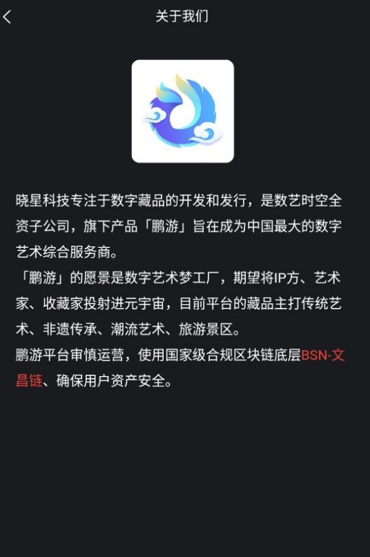 鹏游数藏app官方版图2: