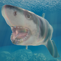 鲨鱼海洋游戏安卓版（Shark） v1.1.0