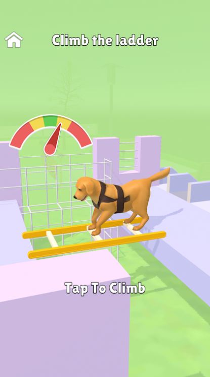 超级狗训练游戏安卓版（Hyper Dog Training）图2: