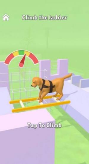 兴奋的狗狗训练游戏图4