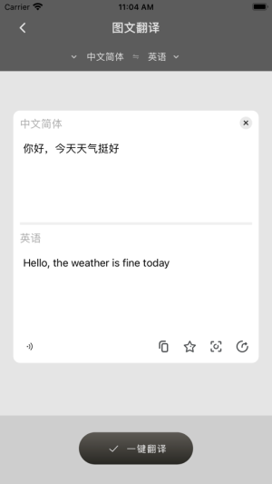 全球翻译通app图2