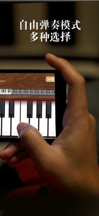 河清钢琴模拟器app苹果版图1: