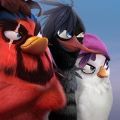 愤怒的小鸟演变游戏官方中文版版 v2.9.7