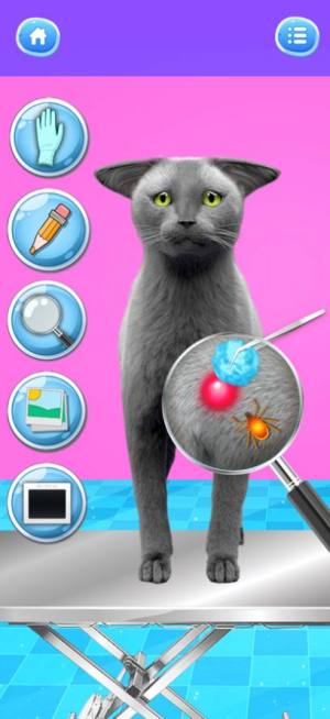 照顾小猫咪电子宠物游戏官方手机版图片1