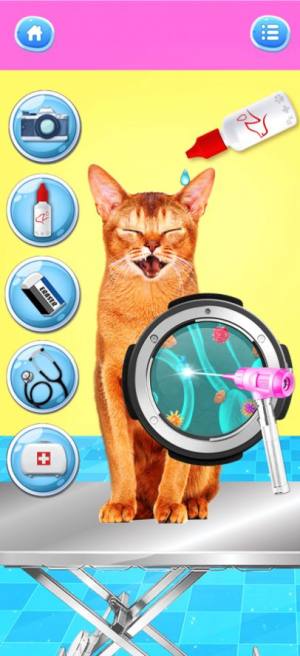 照顾小猫咪电子宠物游戏图3
