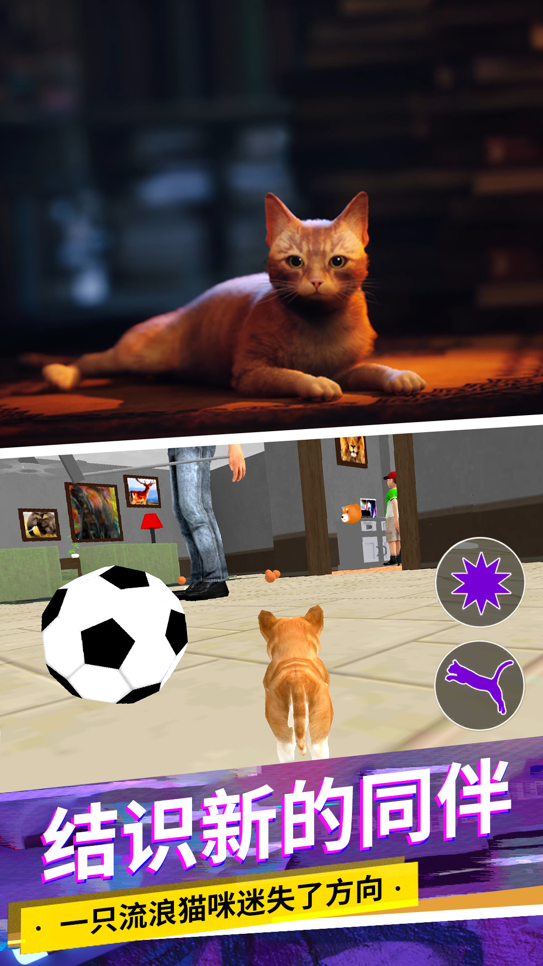 猫咪城市模拟游戏官方手机版图3: