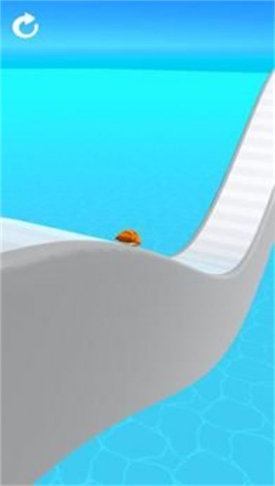 海龟赛跑3D游戏手机版（Turtle Race 3D）图1: