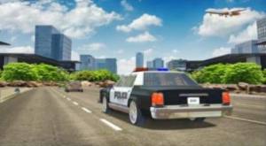 警车追逐驾驶模拟器中文版图1
