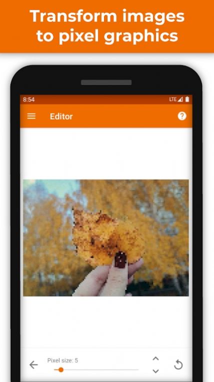 PhotoToPixels像素图片app手机版图2: