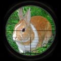 兔子狩猎3D游戏中文手机版（Rabbit Hunting 3D）