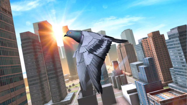 鸽子生存模拟游戏2022最新版图片1