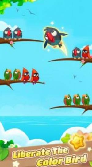 彩色鸟排序游戏手机版（Color Bird Sort）图片1