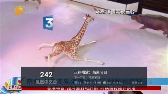 水星TV6.6最新版下载安装官方2022图2:
