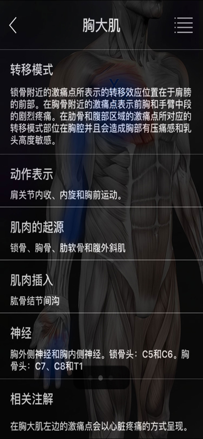 肌肉激痛点app安卓免费中文版下载2022图2: