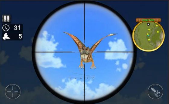 鸟类狩猎挑战游戏官方安卓版图片1