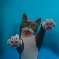 有趣的猫游戏安卓最新版（Funny Cat 3D）