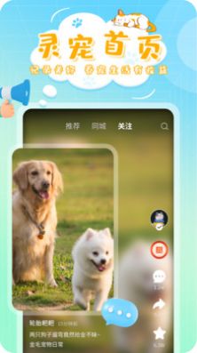 灵宠大陆宠物社交app官方版截图2: