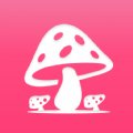 蘑菇赏app